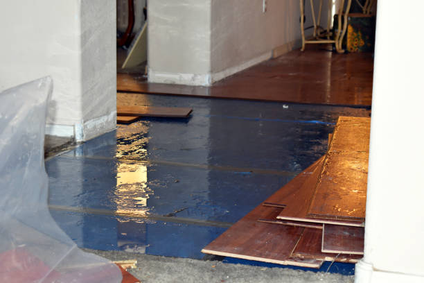 Professional Sewage Cleanup technician working in Estillfork, AL